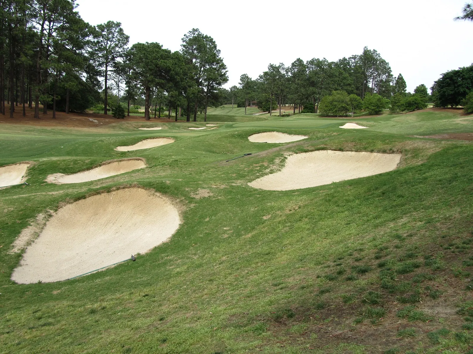 Pinehurst golf trip guide